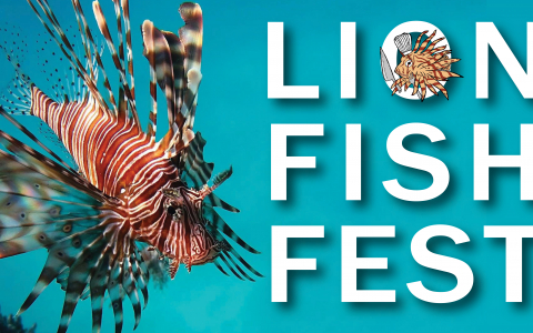 Sebastian Lionfish Fest
